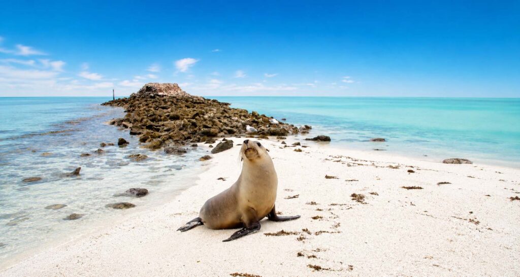 Geraldton Backpackers accommodation